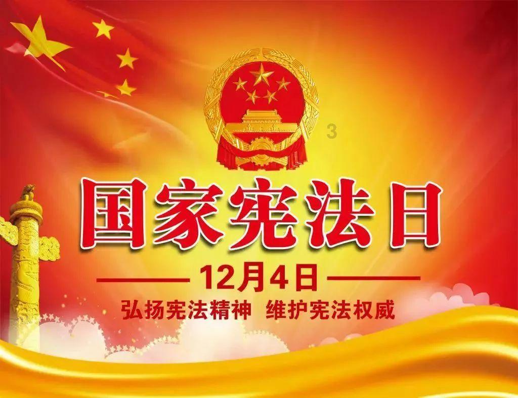 植物大战僵尸20